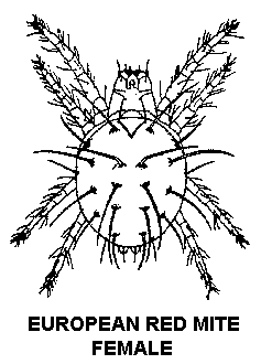  width=